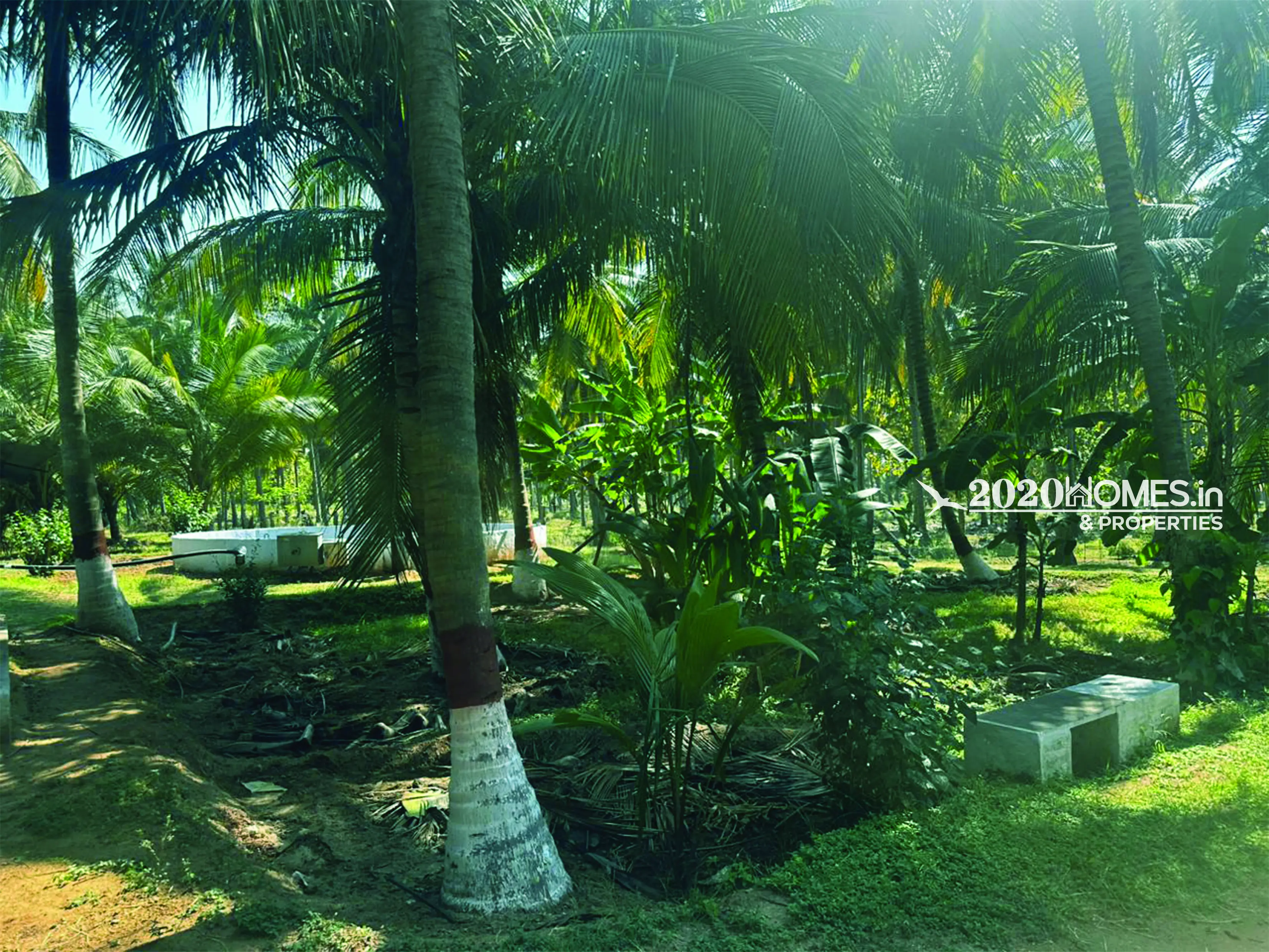 Angalakurichi GopalSwamy